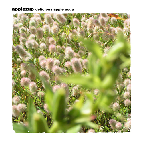 APPLEZUP - delicious apple soup - 2007